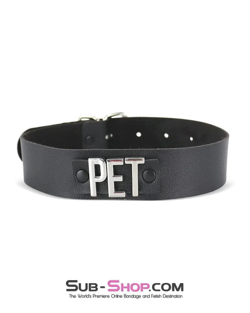 2279DL      PET Chrome Lettered Bondage Collar