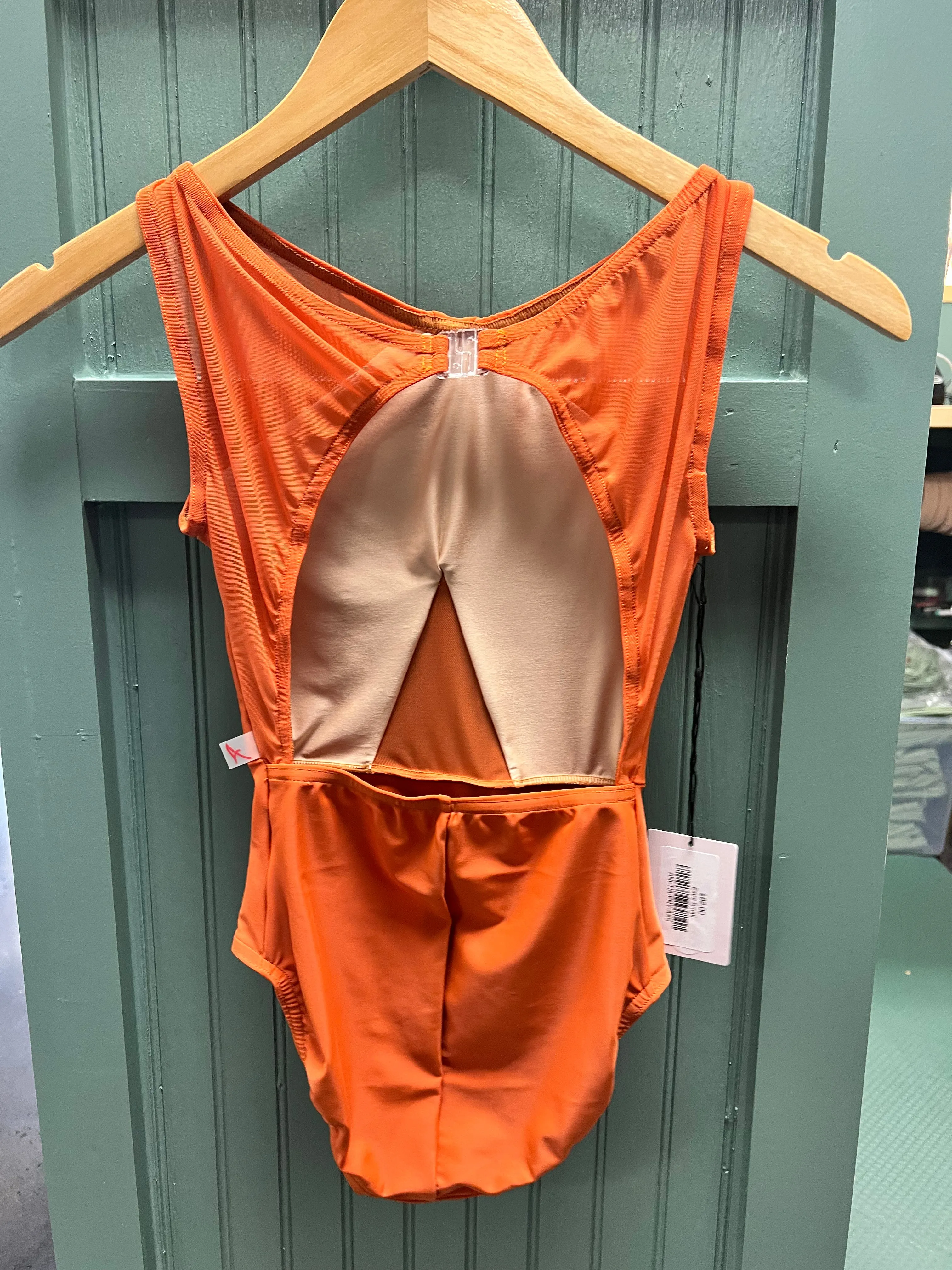 Anina Dancewear | Tianna Leotard |  Lucky Penny