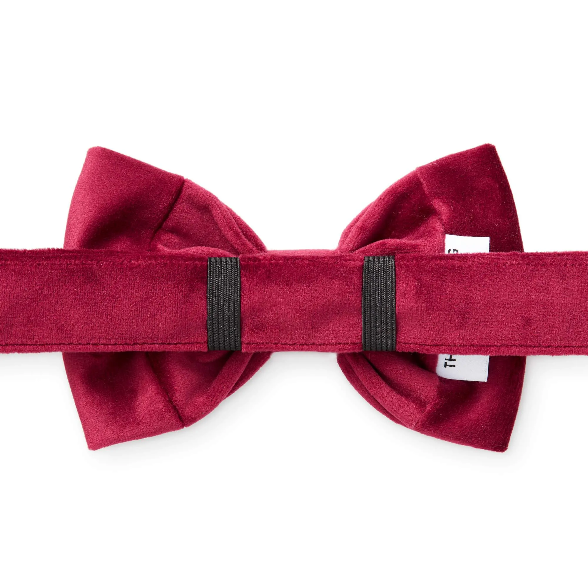 Burgundy Velvet Bow Tie Collar