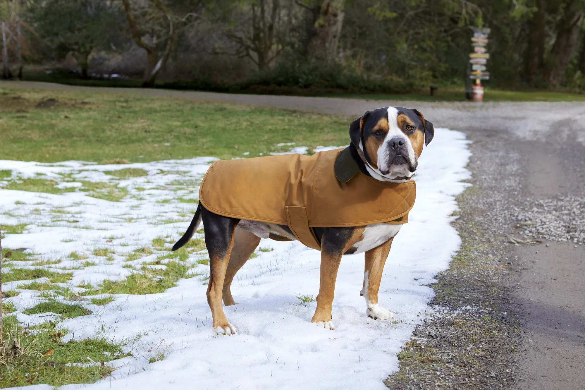 Carhartt - Dog Chore Coat