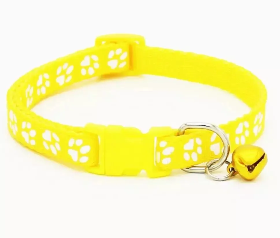 Collar for cats or small dogs