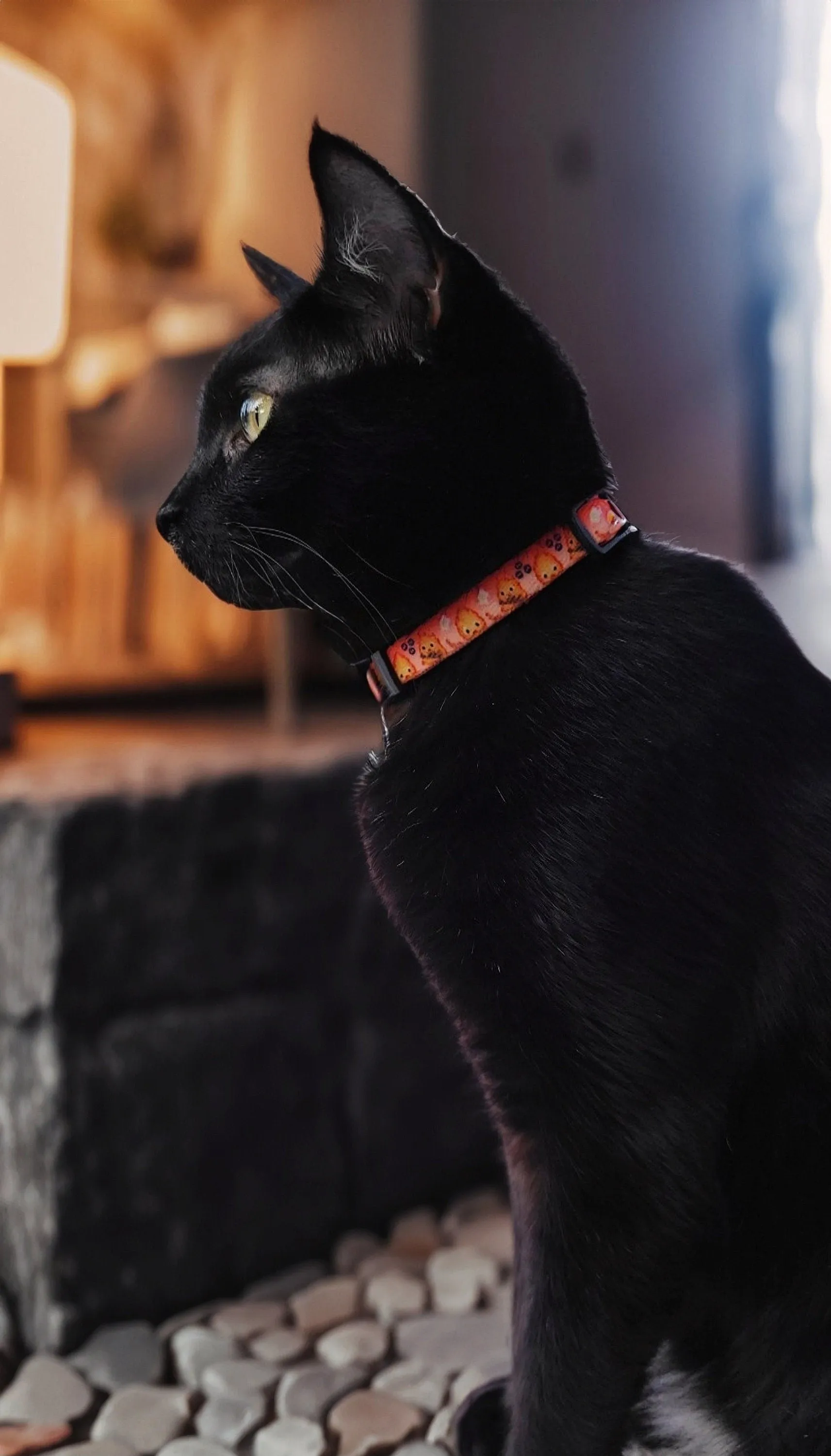 Fire Demon , Calcifer collar, Dog collar,Anime dog collar, Fire collar, Cat collar