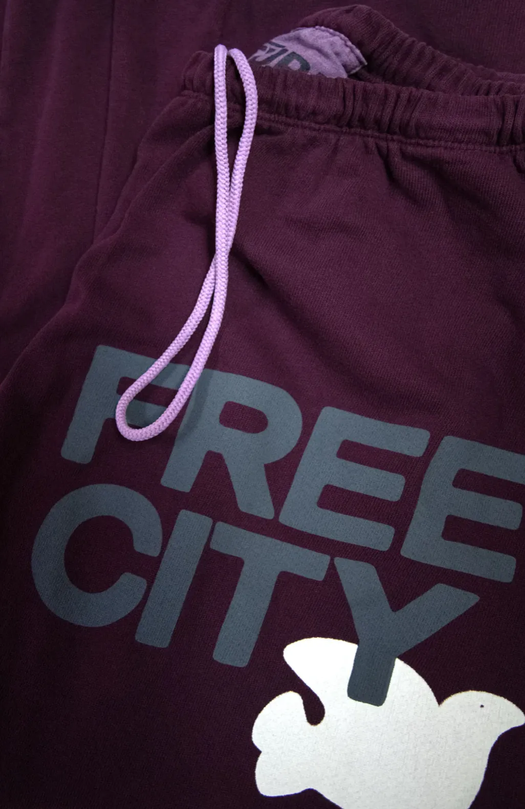 FREE CITY Large Sweatpants in Eggplant