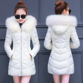 Jacket For Women