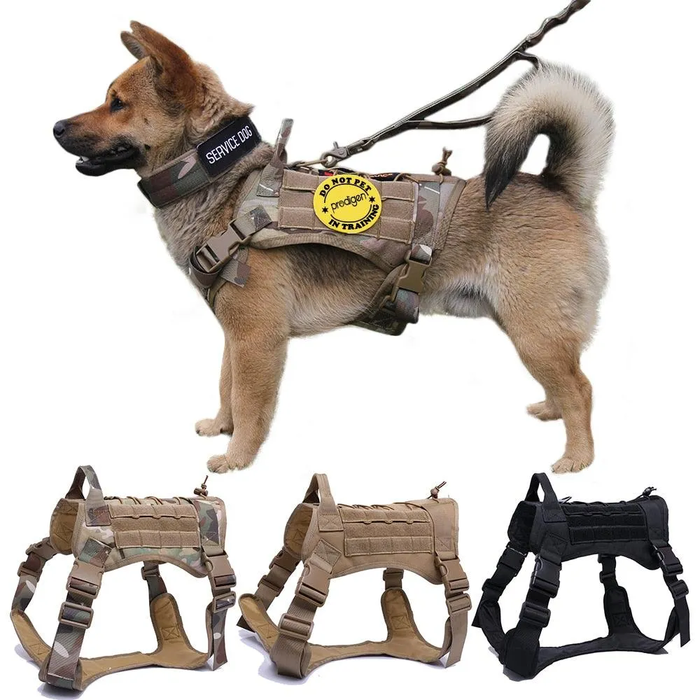 Military Tactical Dog Harness with Handle and Bungee Leash